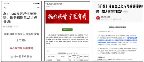 科技赋能田间，“祝融计划”点燃疫情下农产品销售新希望